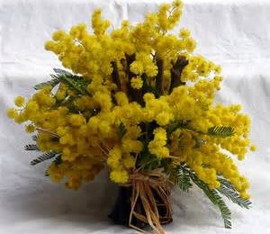 Pacchetti 8 Marzo ” FESTA della DONNA”